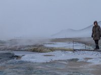 Island 2014-023